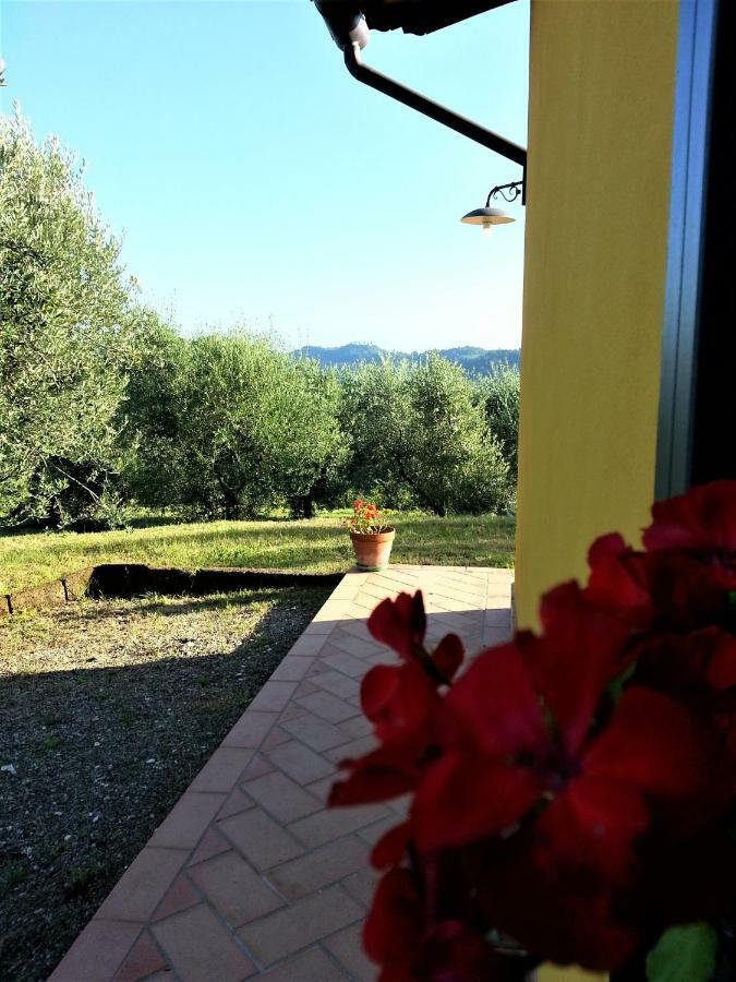 Villa In Campagna Costa Al Bagno Montopoli in Val dʼArno Exteriör bild